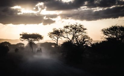 Tanzania safari and Zanzibar