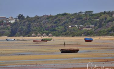 View of the beach