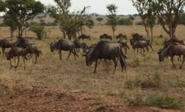 Swakopmund to Victoria Falls