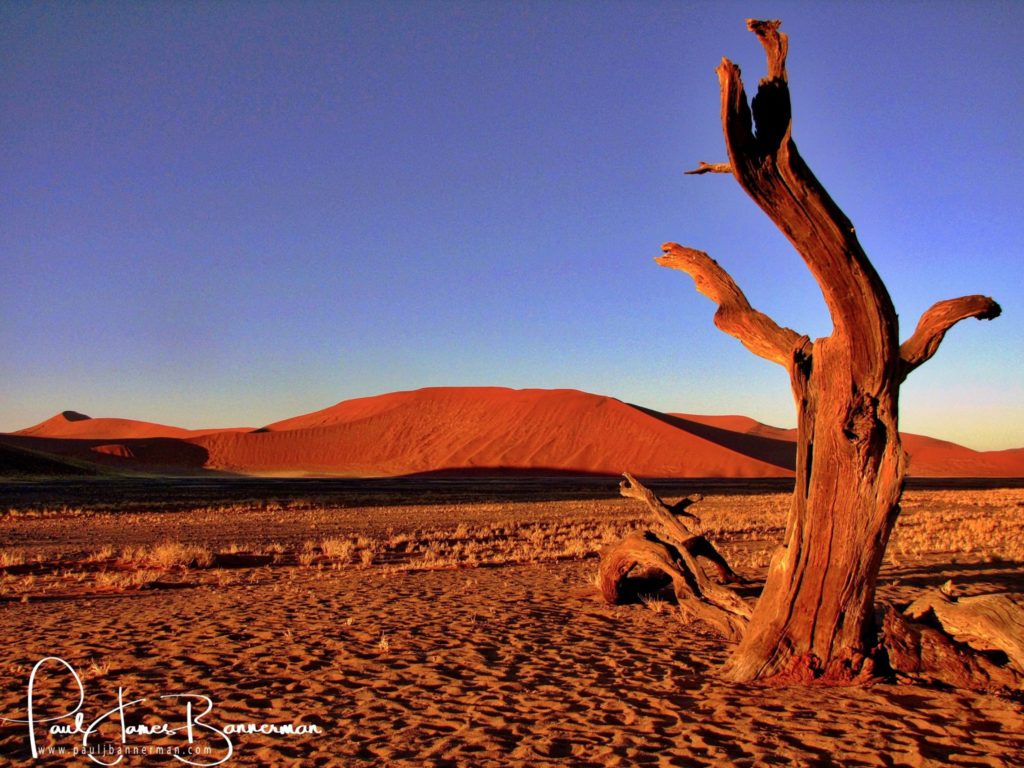 Namibia Desert experience