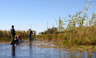 Mokoro in the Delta